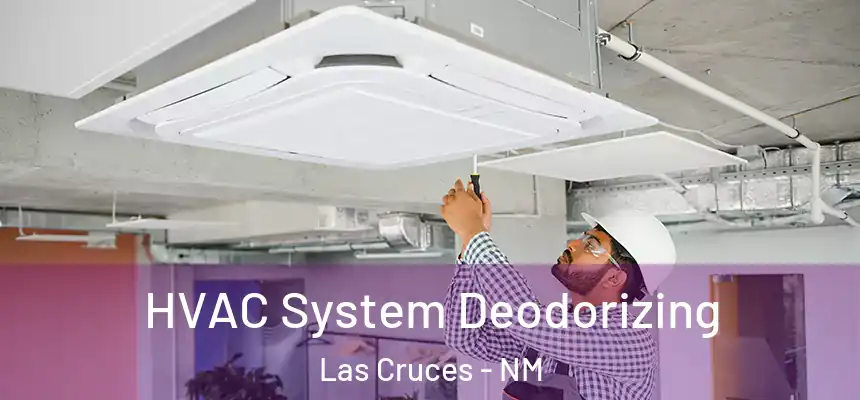 HVAC System Deodorizing Las Cruces - NM