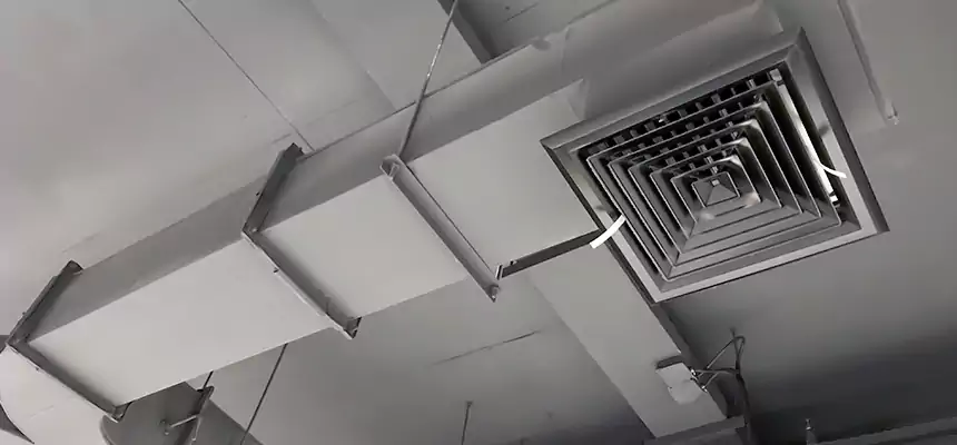 Restorative Allergy Relief Vent Cleaning – Coil, Blower & Housing Detail in Las Cruces