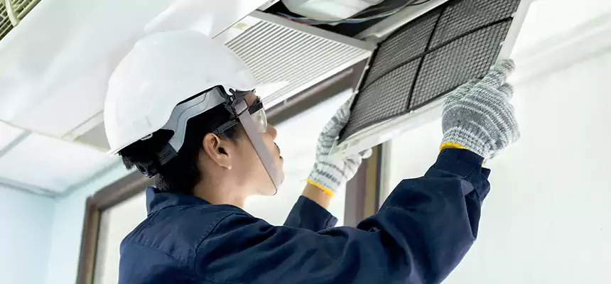 Our Mold & Mildew Removal from Air Ducts Services in Las Cruces, NM