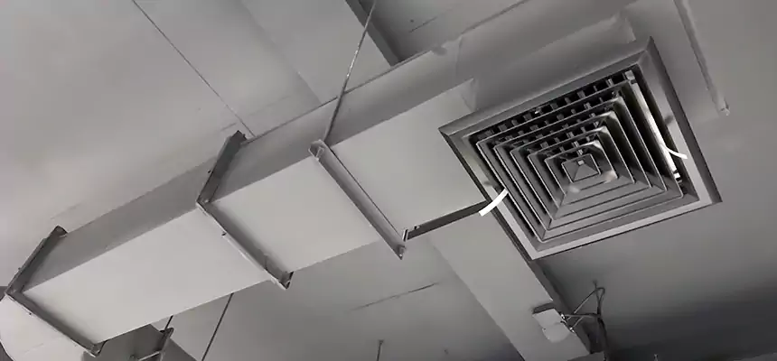 Our Pest Removal From Ducts Services in Las Cruces, NM