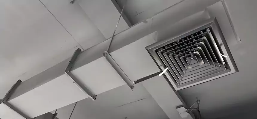 Our Rodent Droppings In Vents Services in Las Cruces, NM