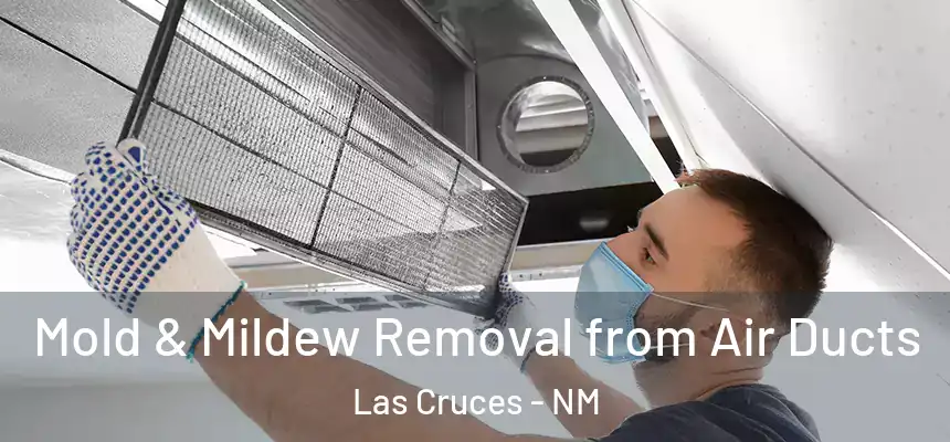 Mold & Mildew Removal from Air Ducts Las Cruces - NM