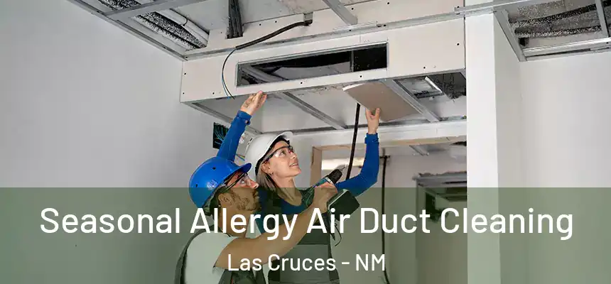  Seasonal Allergy Air Duct Cleaning Las Cruces - NM