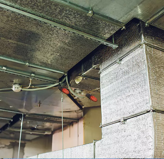 Why Homeowners & Businesses Trust Us in Las Cruces, NM?