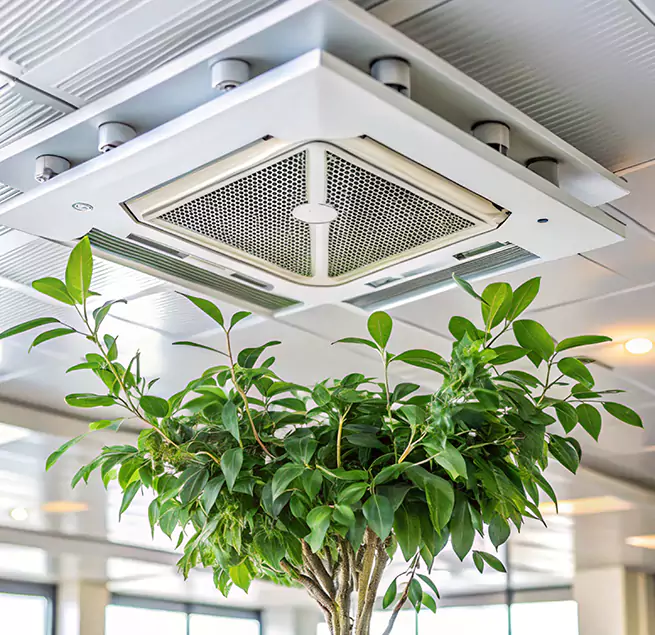 Why Homeowners & Businesses Trust Us in Las Cruces, NM?