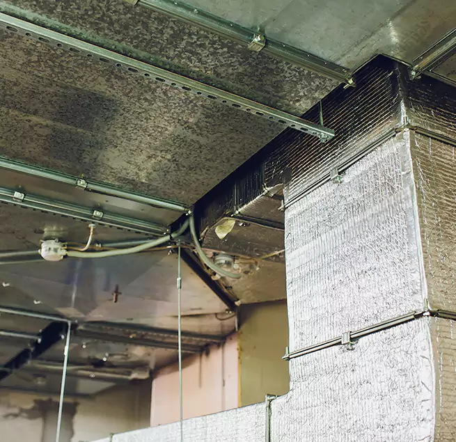 Why Homeowners & Businesses Trust Us in Las Cruces, NM?